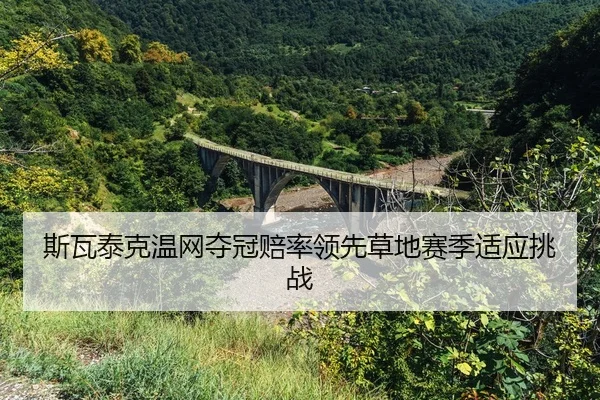 si-wa-tai-ke-wen-wang-duo-guan-pei-shuai-ling-xian-cao-di-sai-ji-shi-ying-tiao-zhan-2-247.jpg